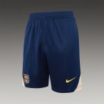 Barcelona 24/25 Vest in Royal Blue with Yellow Nike Logo - 图片 7