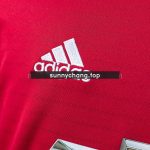 Manchester United 2018-19 Home Long-Sleeve Retro Jersey - 图片 6