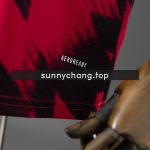 Man Utd 25/26 Pre-Match Jersey - 图片 2