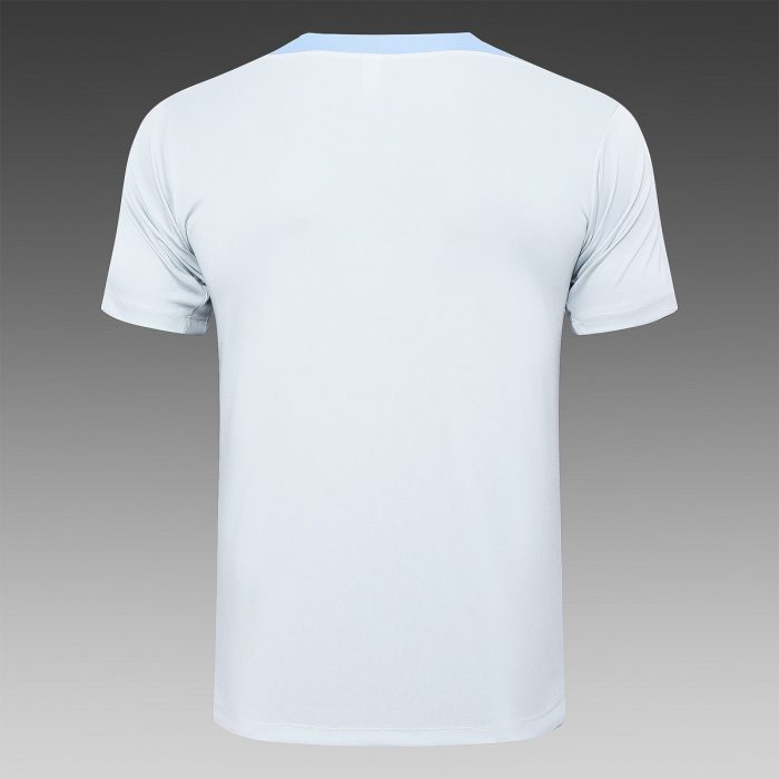 Tottenham Hotspur 24-25 Light Gray Short Sleeve Training T-Shirt - 图片 7