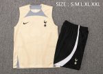 Tottenham Hotspur 22-23 Yellow Vest - 图片 2