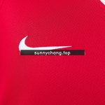 Manchester United 2010-2011 Home Retro Shirt S-XXL - 图片 4