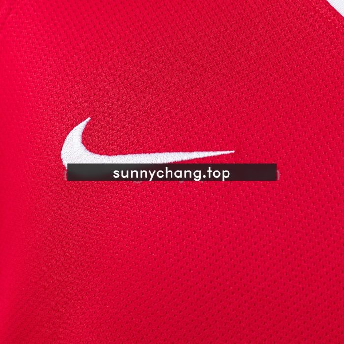 Manchester United 2010-2011 Home Retro Shirt S-XXL - 图片 4