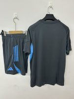 Newcastle United 25/26 Training Jersey Grey - 图片 2