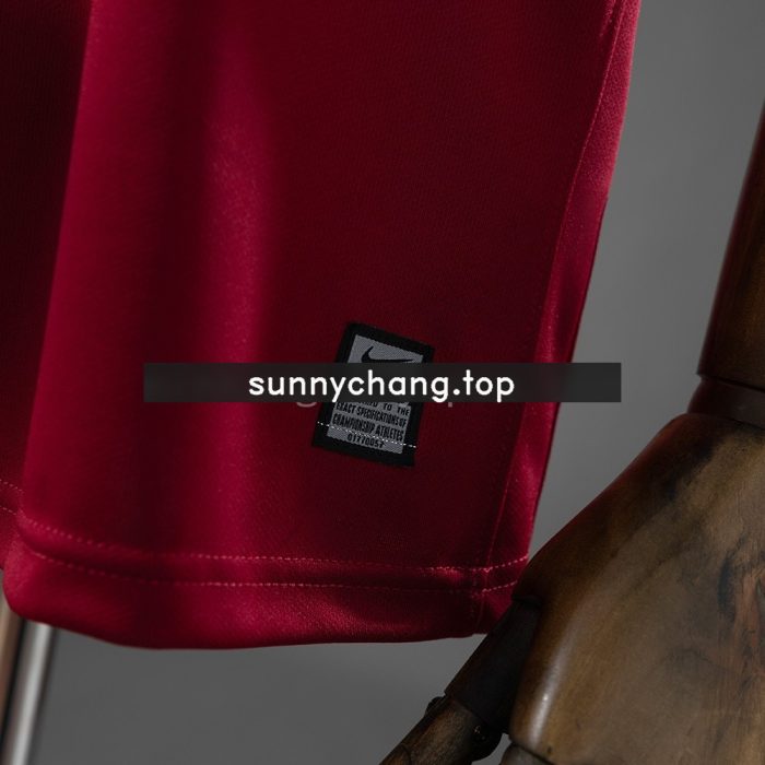 Aston Villa 2009/10 Home Retro Jersey - 图片 5