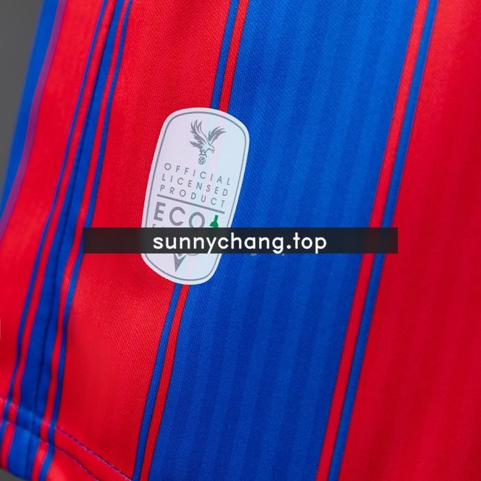 Crystal Palace 2025-2026 Limited Edition Jersey - 图片 4