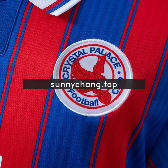 Crystal Palace 2025-2026 Limited Edition Jersey - 图片 7
