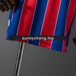 Crystal Palace 2025/2026 Home Kids Kit Jersey - 图片 9