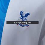 Crystal Palace 2025-2026 Away Jersey - 图片 4