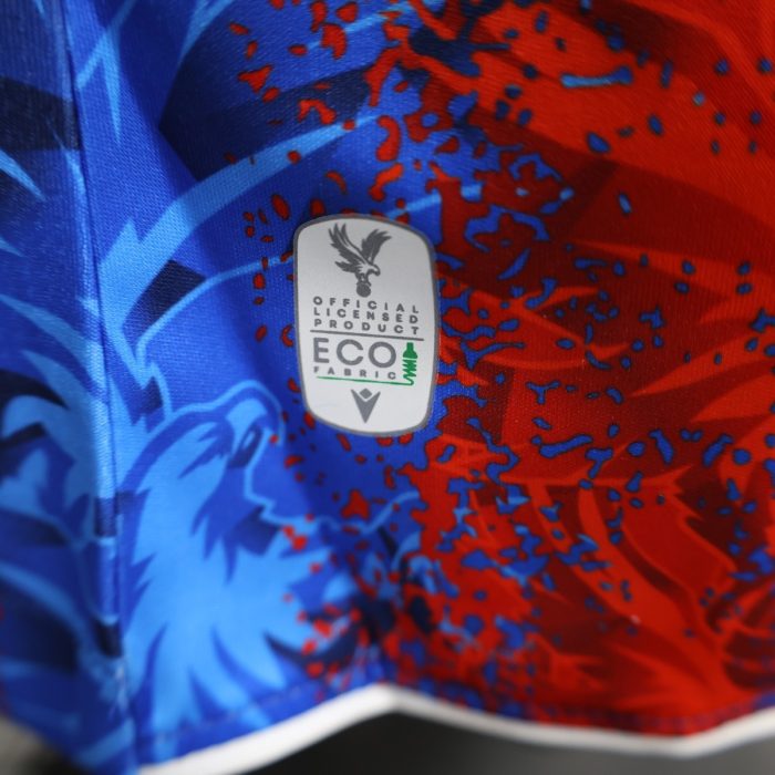 Crystal Palace 2024/25 Home Player Version - 图片 4