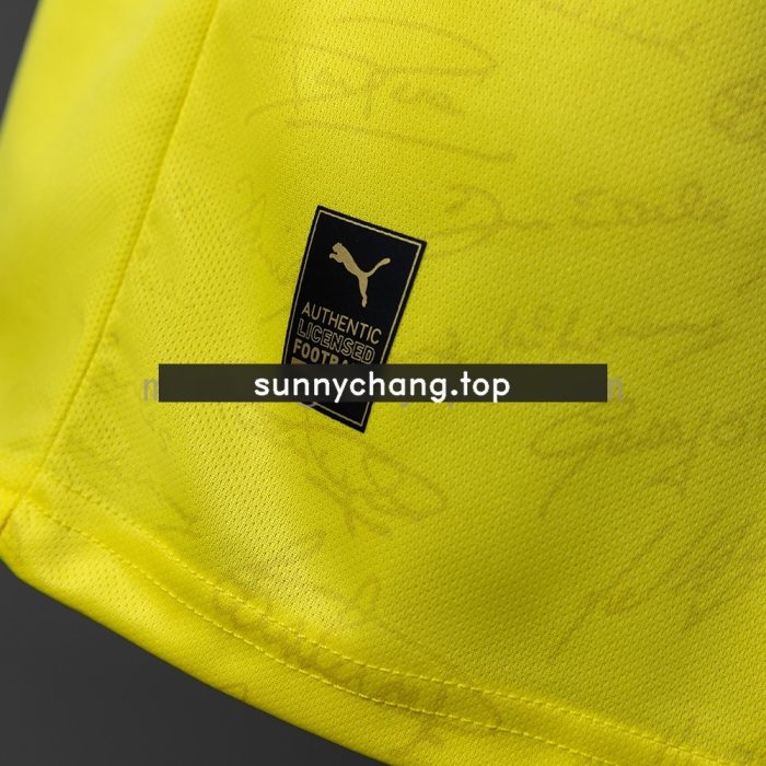 Southampton 26/27 50th Anniversary Jersey - 图片 4