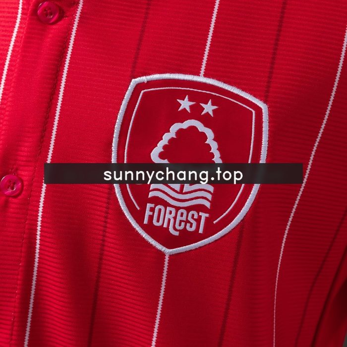 Nottingham Forest 2025-2026 Baseball Uniform - 图片 6