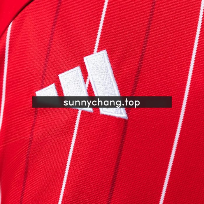 Nottingham Forest 2025/2026 Polo Shirt - 图片 4