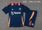 Manchester United 24-25 Short Sleeve Training Shirt Blue - 图片 2