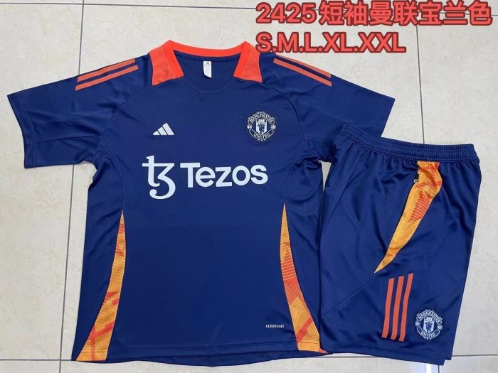Manchester United 24-25 Short Sleeve Training Shirt Blue - 图片 9