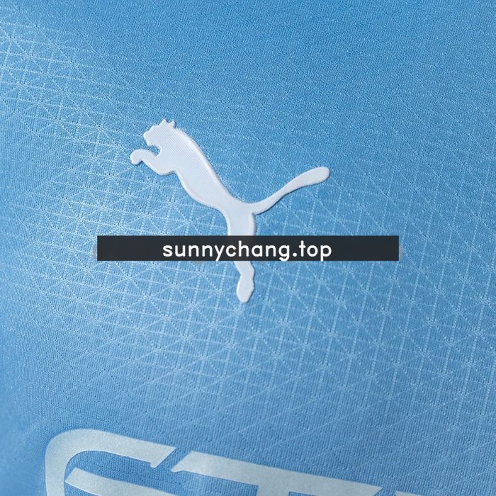 Manchester City 26/27 Home Player Version Jersey - 图片 7