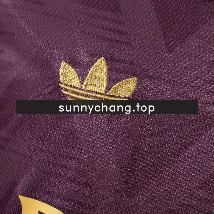 Arsenal 25/26 Special Edition Maroon Jersey - 图片 5