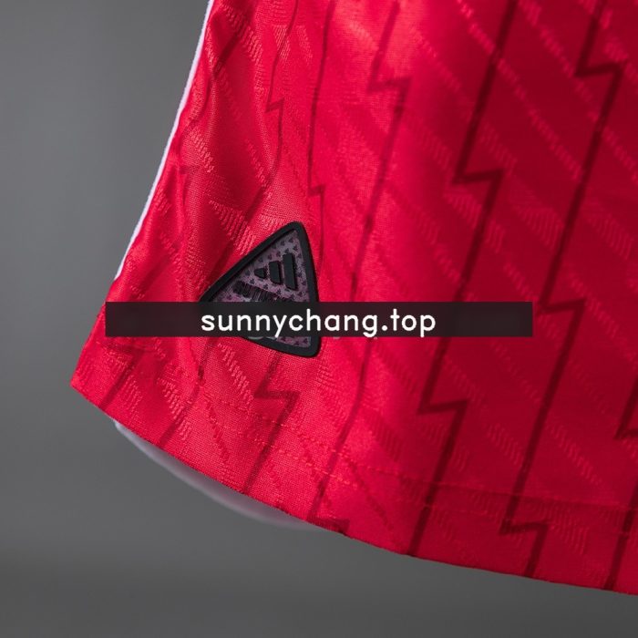 Arsenal 23/24 Home Retro Player Version Jersey - 图片 4