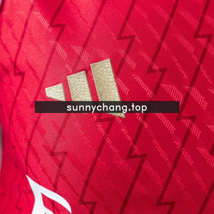 Arsenal 23/24 Home Retro Player Version Jersey - 图片 7