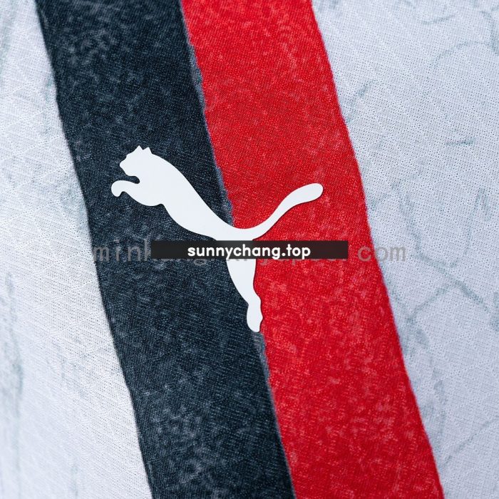 Manchester City 25/26 Away Player Version Jersey - 图片 4