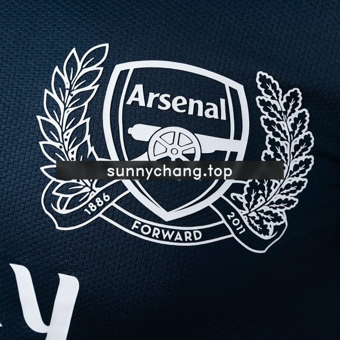 Arsenal 2011/12 Away Long Sleeve Player Version Jersey - 图片 5