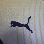 24/25 Player Manchester City Third Away Jersey - 图片 7