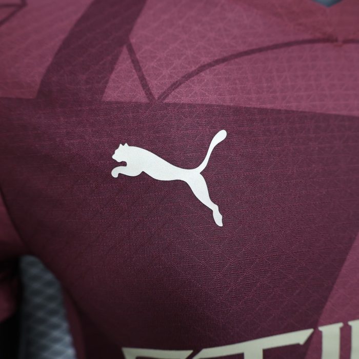 24/25 Player Manchester City Third Away Jersey - 图片 7