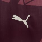 24/25 Manchester City Third Away - 图片 6