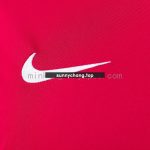 Arsenal 2010/11 Home Retro Jersey - 图片 4