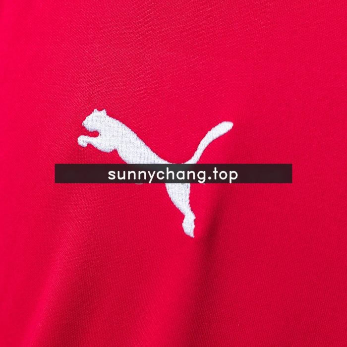 Arsenal 2014-2015 Home Retro Jersey - 图片 4