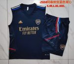 Arsenal 23/24 Blue Vest - 图片 9