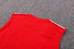 Arsenal 22/23 Red Vest - 图片 5