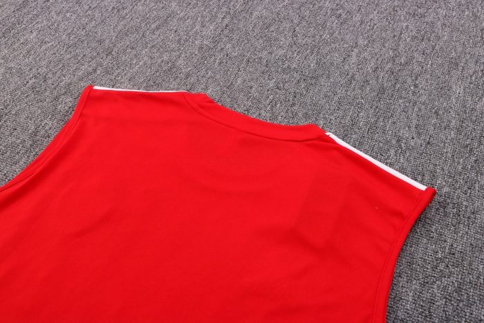 Arsenal 22/23 Red Vest - 图片 5