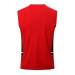 Arsenal 22/23 Red Vest - 图片 8