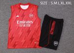 Arsenal 23-24 Red Vest - 图片 2