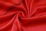 Arsenal 23-24 Red Vest - 图片 4