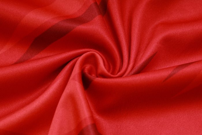 Arsenal 23-24 Red Vest - 图片 4