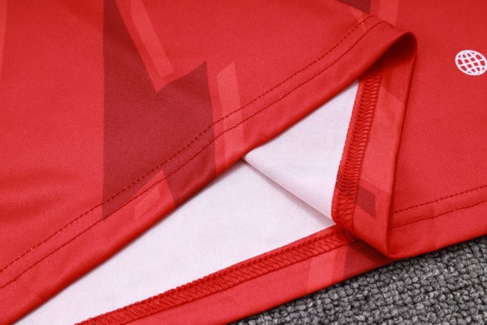 Arsenal 23-24 Red Vest - 图片 5