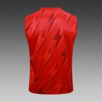 Arsenal 23-24 Red Vest - 图片 8
