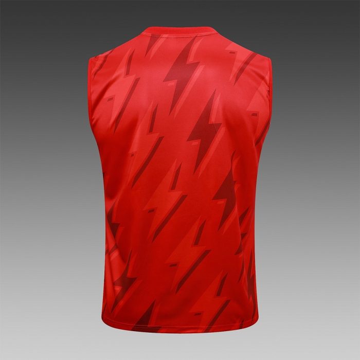Arsenal 23-24 Red Vest - 图片 8