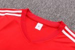 Arsenal 22-23 Red Short Sleeve Training Set with 5-Panel Shorts - 图片 2