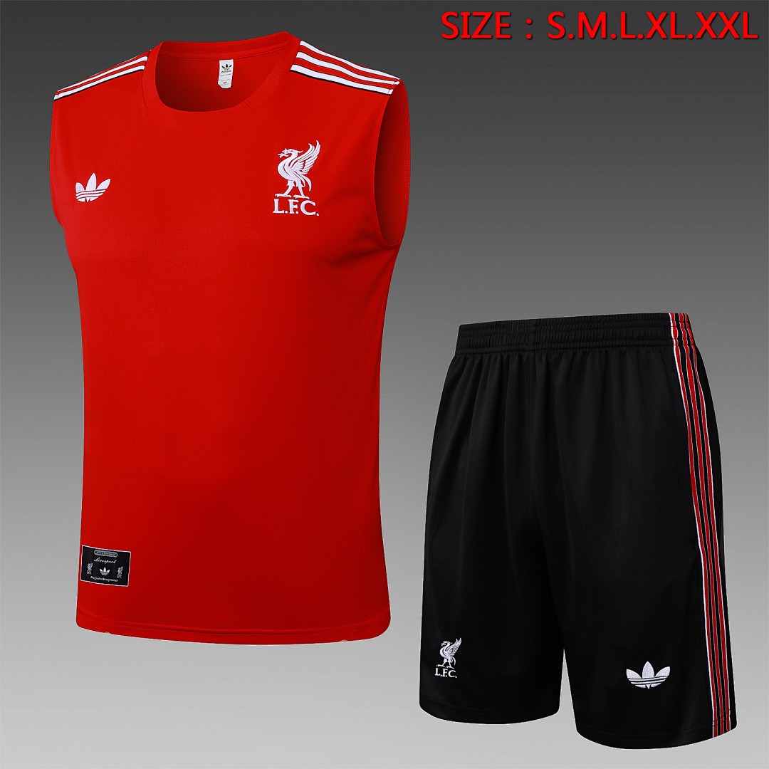 JER-4133_1 Liverpool FC Training T-Shirt - 图片 1