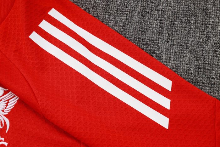 Liverpool FC Training T-Shirt - 图片 6