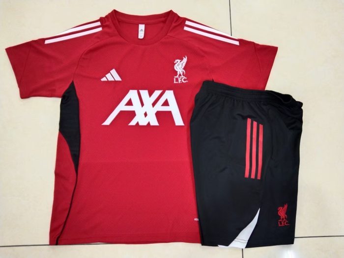 Liverpool FC Training T-Shirt - 图片 9