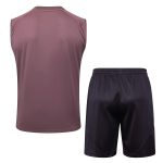 Arsenal 24/25 Vest Grey Purple - 图片 7