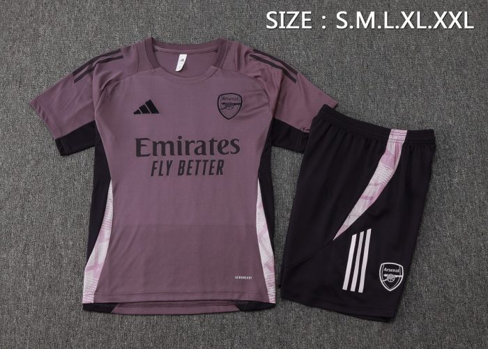 Arsenal 24-25 Short Sleeve Grey Purple Training Suit - 图片 2