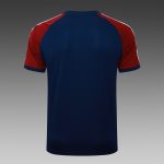 Arsenal Retro Short Sleeve Jersey (Blue, Shoulder Red) - 图片 6