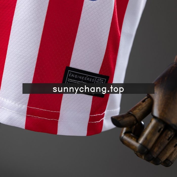 Atletico Madrid 25/26 Home Kids Jersey - 图片 7