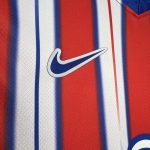 Atletico Madrid 24/25 Home Jersey - 图片 8