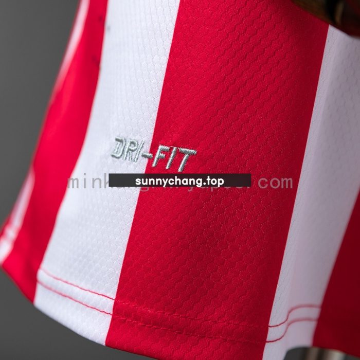 Atletico Madrid 2013/2014 Home Retro Jersey - 图片 2